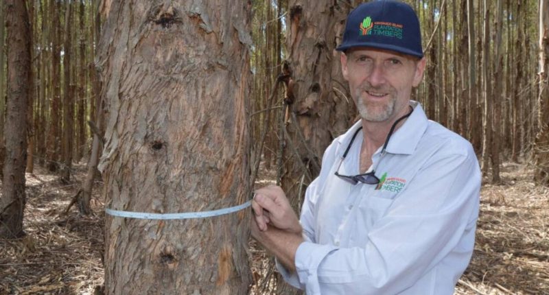 Kangaroo Island Plantation Timbers (ASX:KPT) - Outgoing Managing Director, Keith Lamb